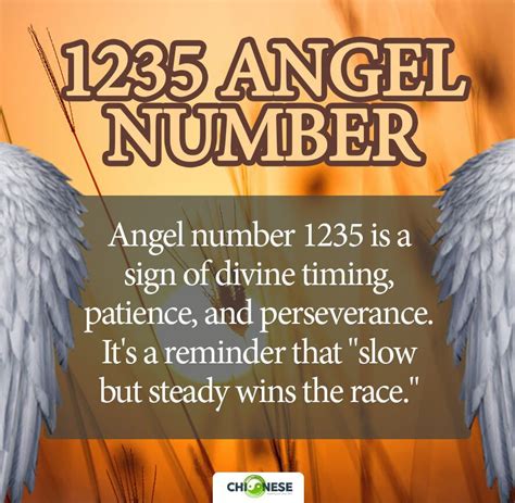 1235 angel number meaning|Angel Number 1235 Meaning: Open A New Door